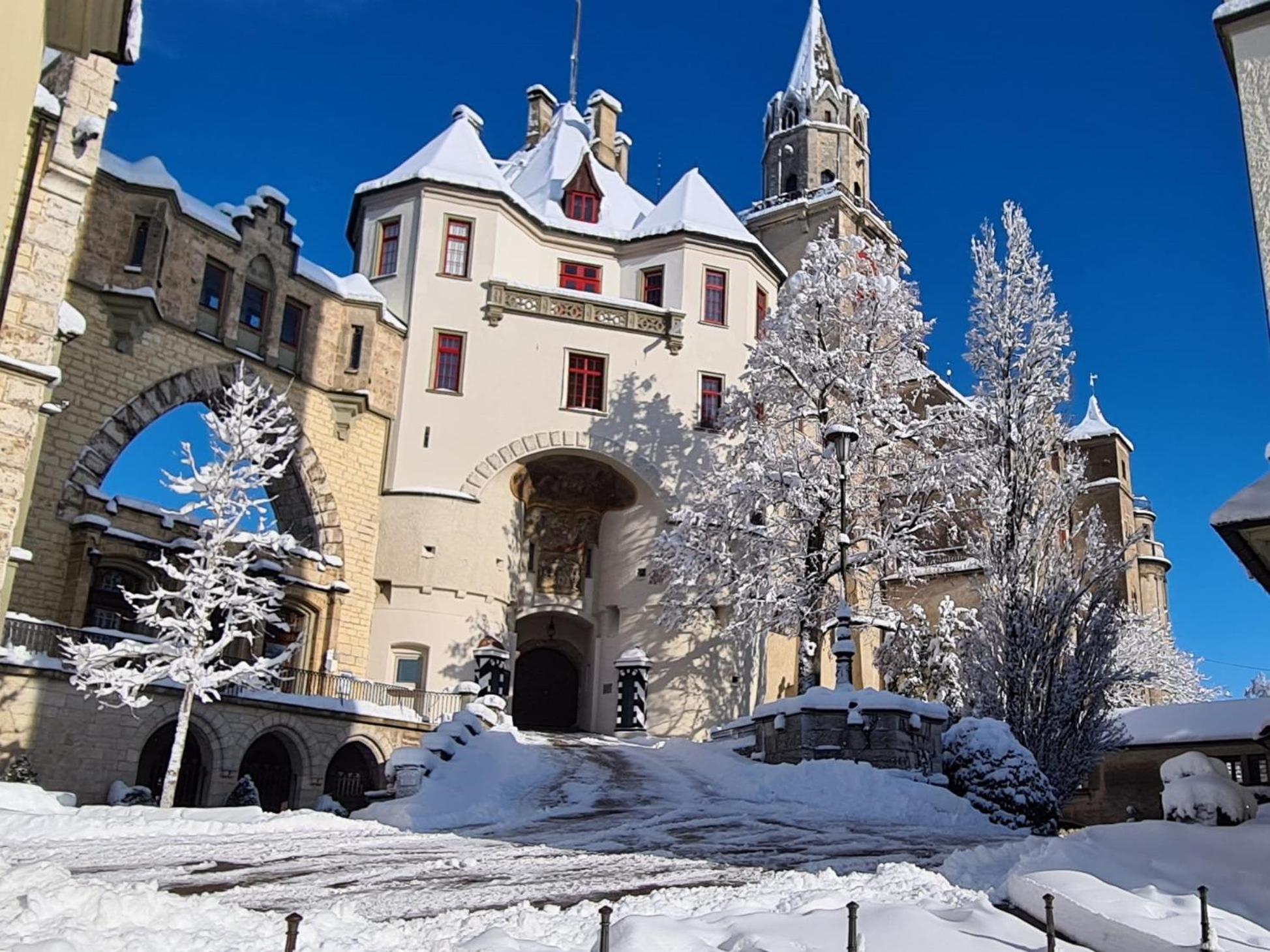 Apartment Am Schloss Сигмаринген Екстериор снимка