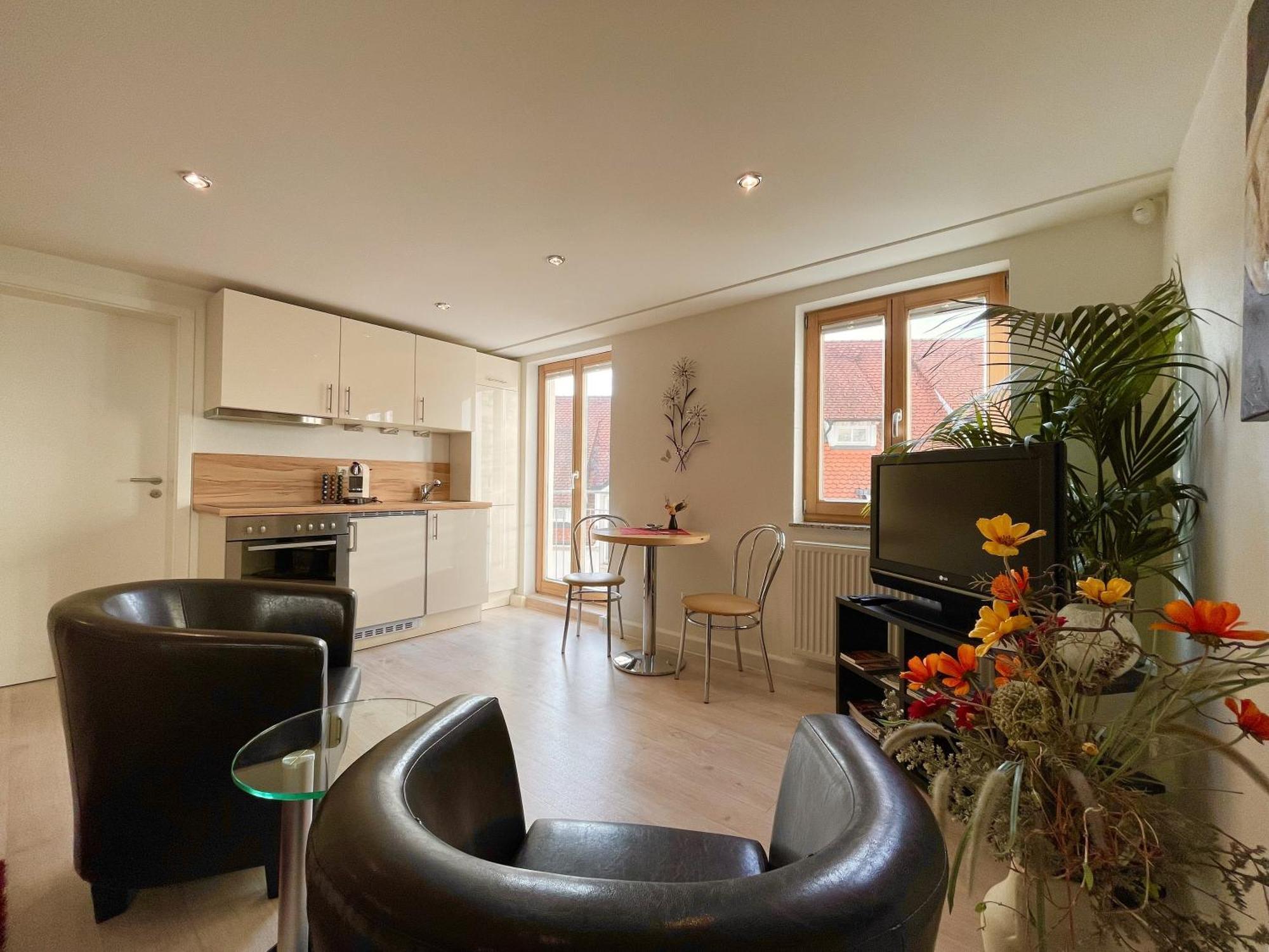 Apartment Am Schloss Сигмаринген Екстериор снимка