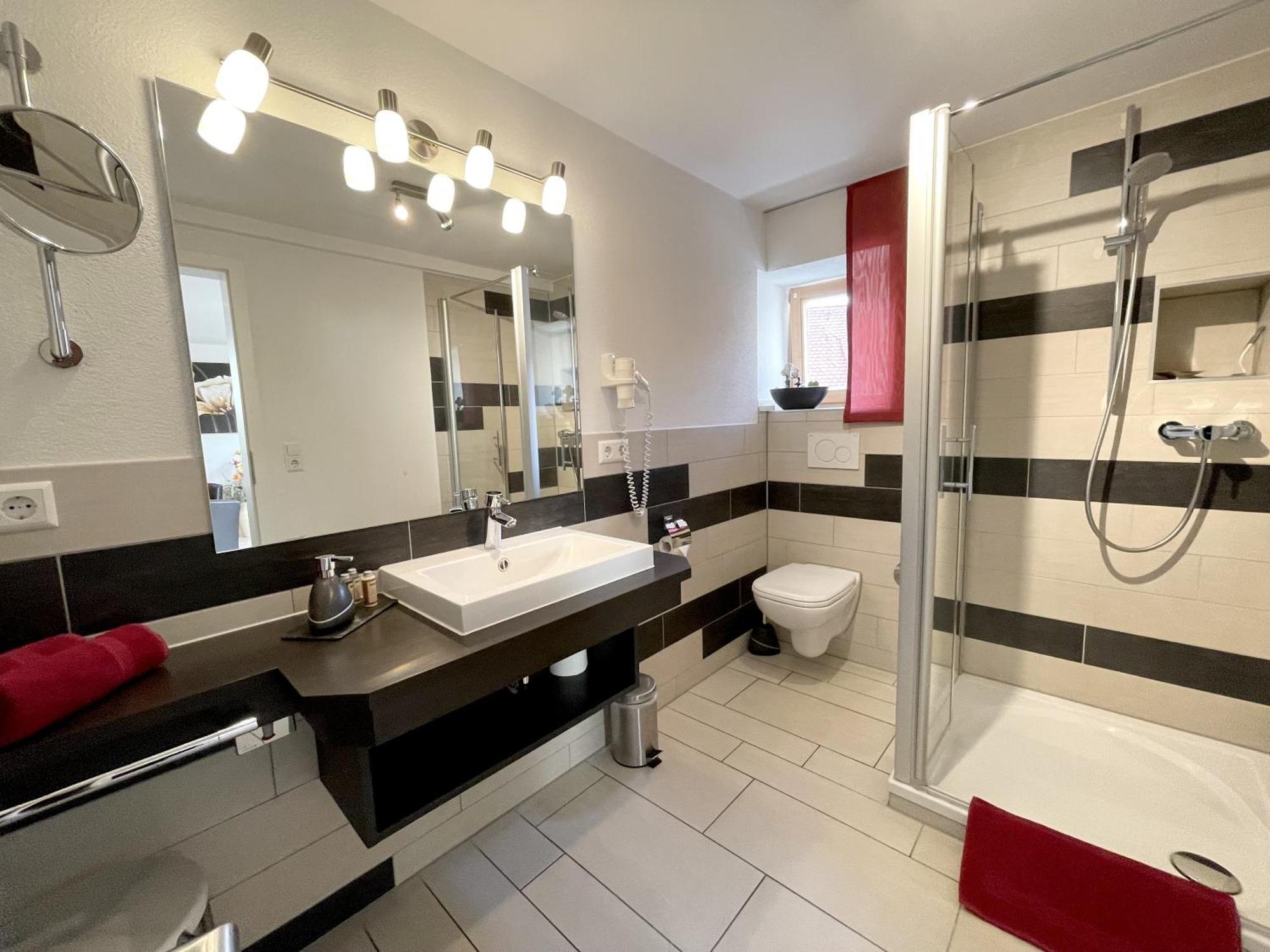 Apartment Am Schloss Сигмаринген Екстериор снимка